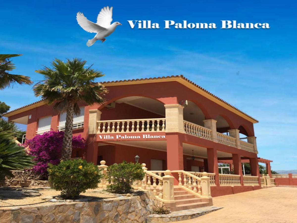 Villa Paloma Blanca 알비르 외부 사진