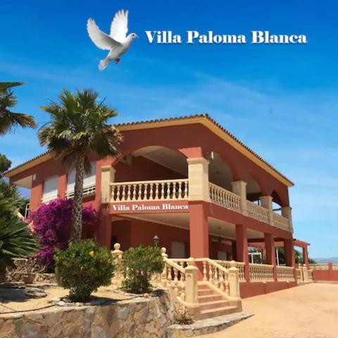 Villa Paloma Blanca 알비르 외부 사진